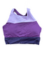 Mesa Cropkini - Berry - XS ONLY - FINAL SALE